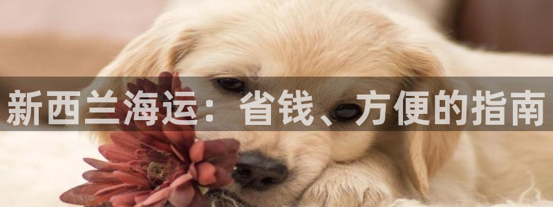欢迎来到公海7109线路