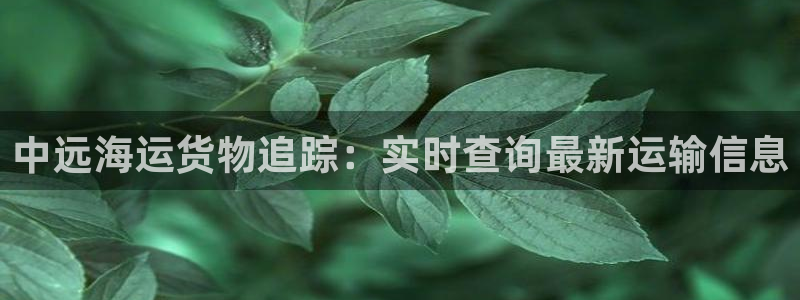 欢迎来到g港
