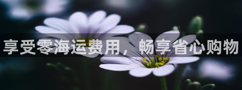 去公海赌博