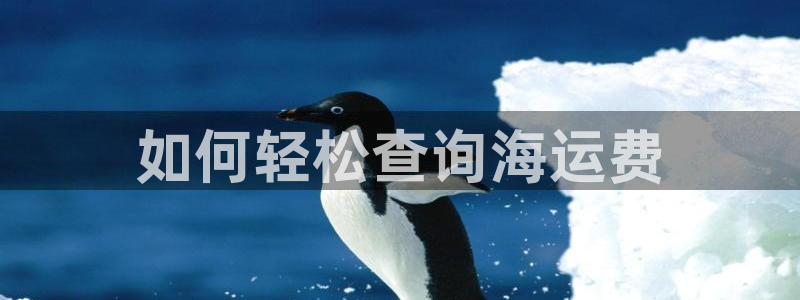 欢迎您来到公海客服
