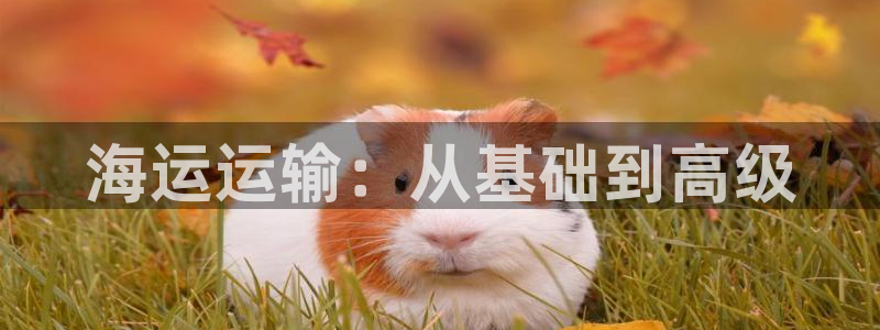 公海赌钱犯法吗