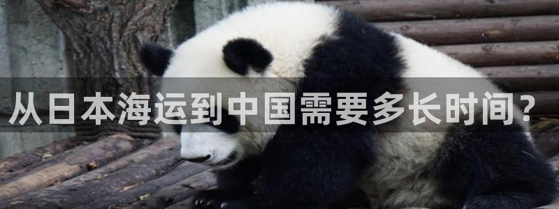 去公海赌博