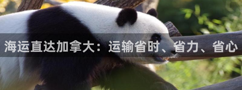 公海赌赌船贵宾会员检测路线