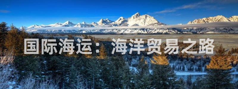 公海船赌网站是多少