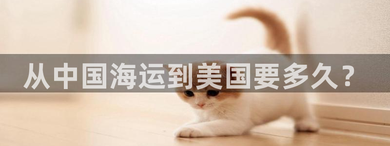 欢迎来到海边