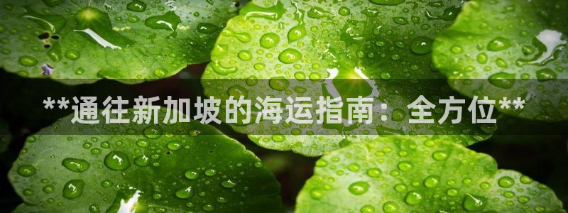 公海赌赌船