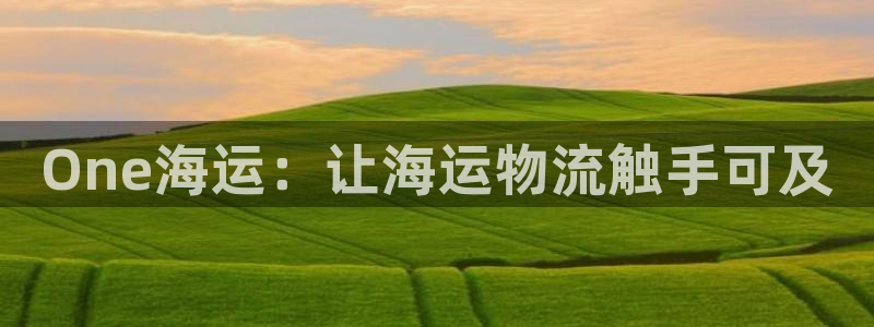 公海赌赌船手机下载