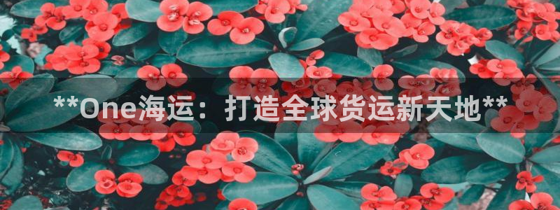 欢迎你来到 公主的海岛