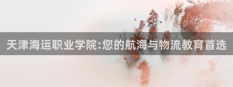 公海赌赌船快速充值