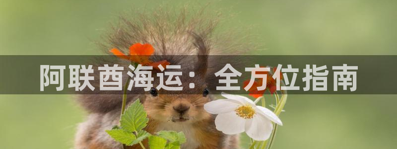 公海赌钱违法吗