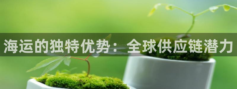 公海赌船网址710