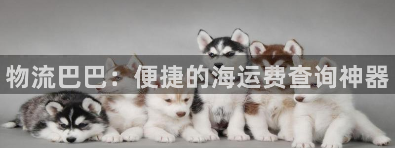 公海赌赌船官网介绍人