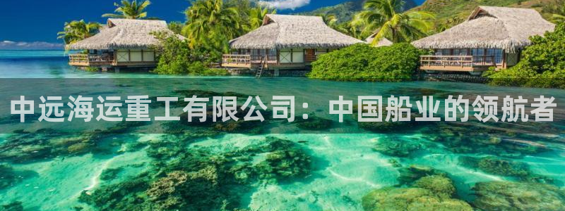欢迎来到公海555000