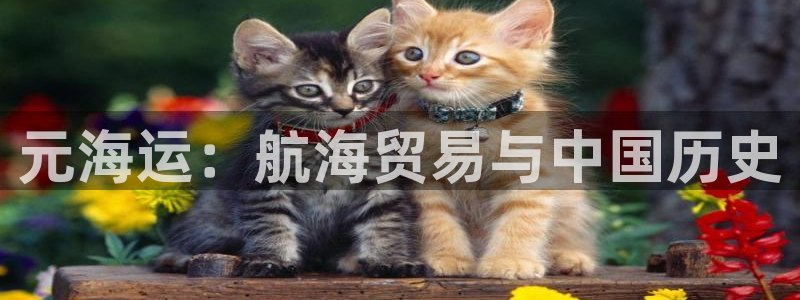 在公海赌博犯法吗