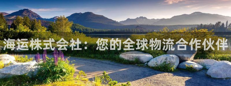 欢迎来到海牛星简谱