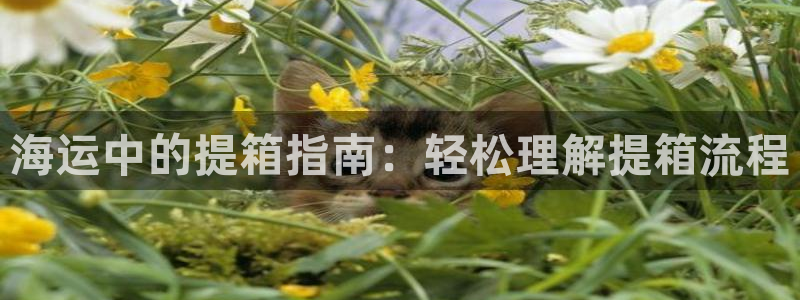 公海赌赌船手机下载