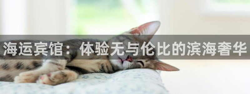 欢迎公海来到赌船710_首页(欢迎您)