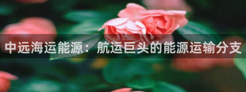 公海赌博为什么没人管
