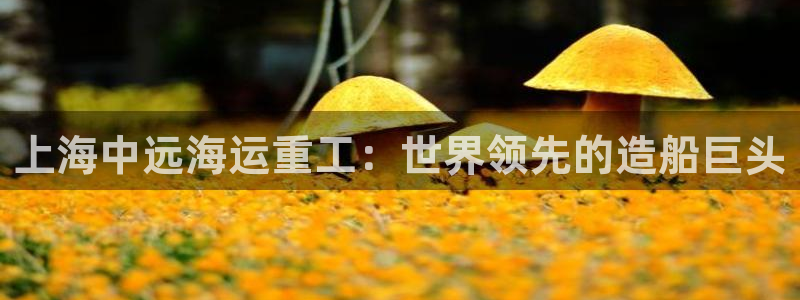 欢迎你来到公海欢迎你来到