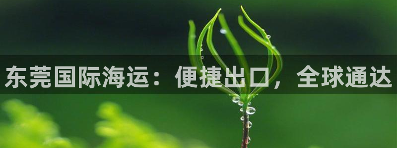 公海赌钱公安会抓吗