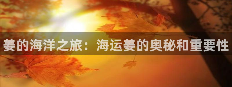 公海赌赌船官网是真的吗