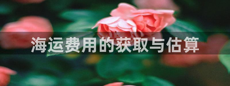 公海赌船怎么样
