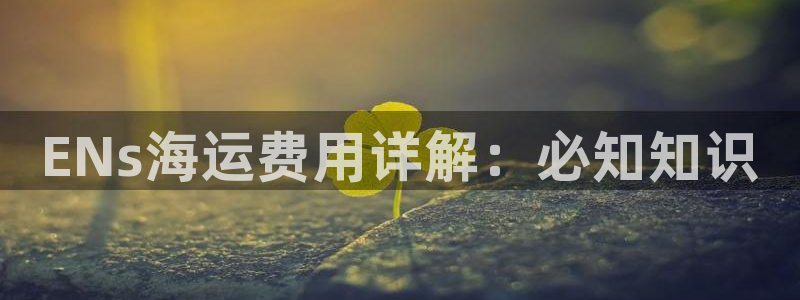 公海赌船赌博