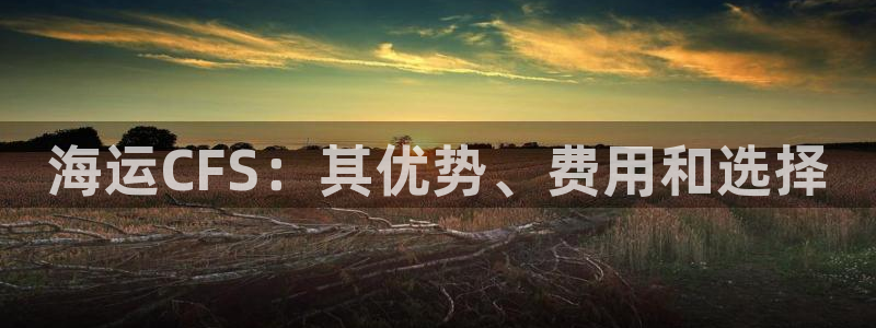 公海赌钱很大吗