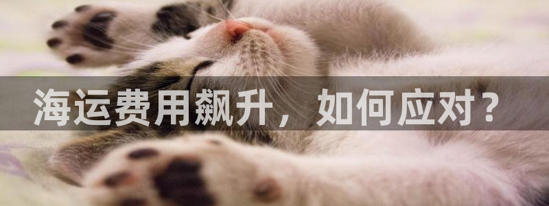 去公海赌博合法吗