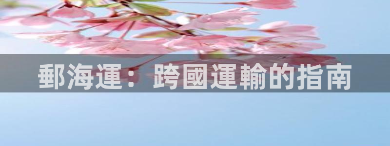 欢迎来到海牛星简谱
