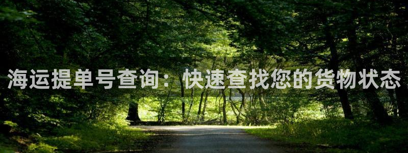 在公海赌博犯法吗