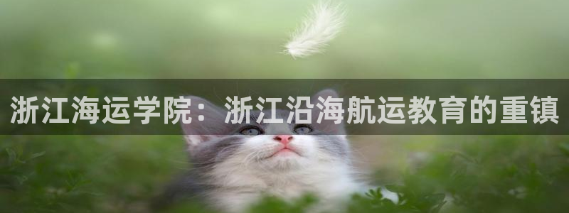 公海赌赌船官网可以做代理吗
