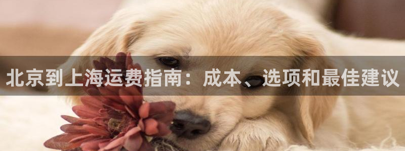 欢迎来到公海电脑版