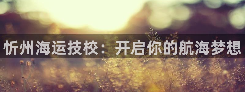 欢迎来到公海电脑版