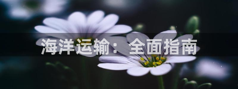欢迎公海赌710