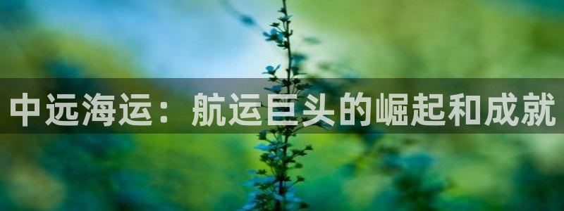 欢迎来到公海710官网