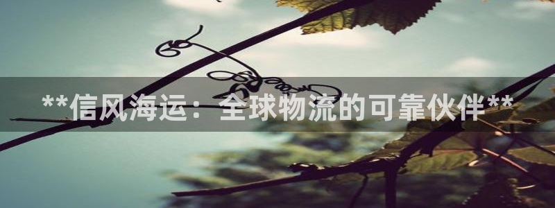 公海赌钱