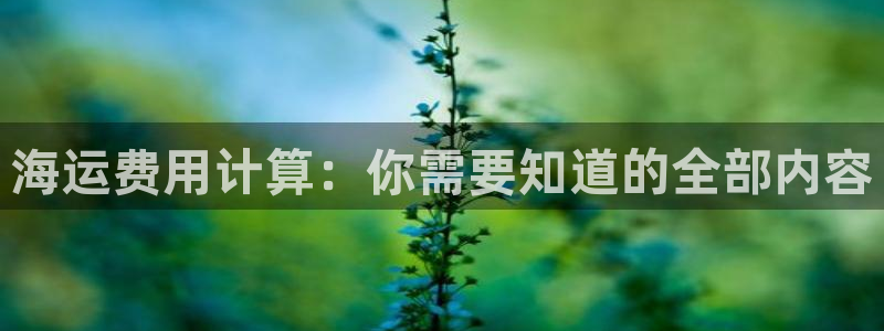 欢迎您来到公海客服