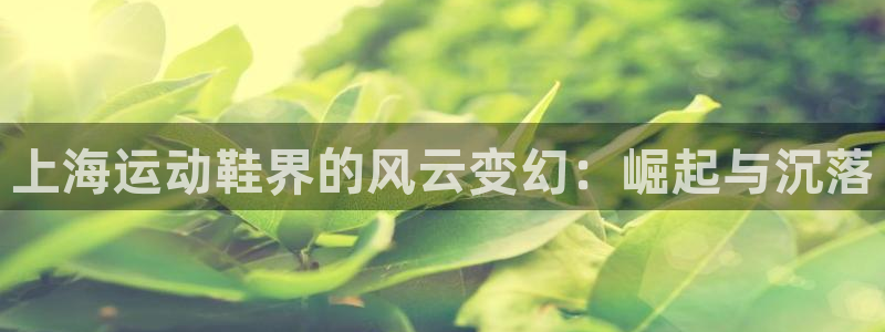 欢迎来到公海