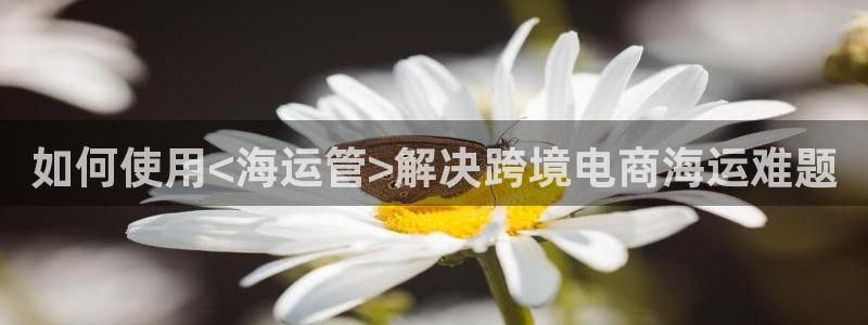 欢迎来到大海