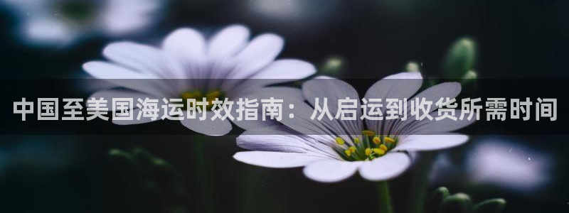 公海赌船吧