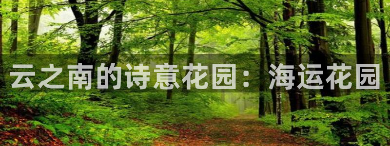 欢迎来到公海欢迎来到赌船710