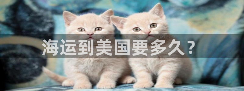 公海欢迎来到赌船