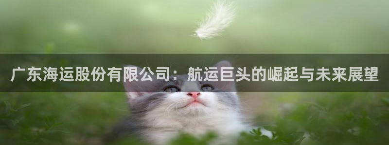公海赌船官网下载