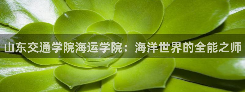 公海赌船官网下载
