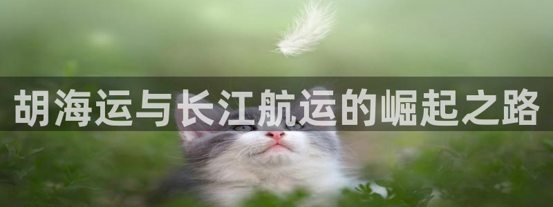 欢迎你来到公海赌