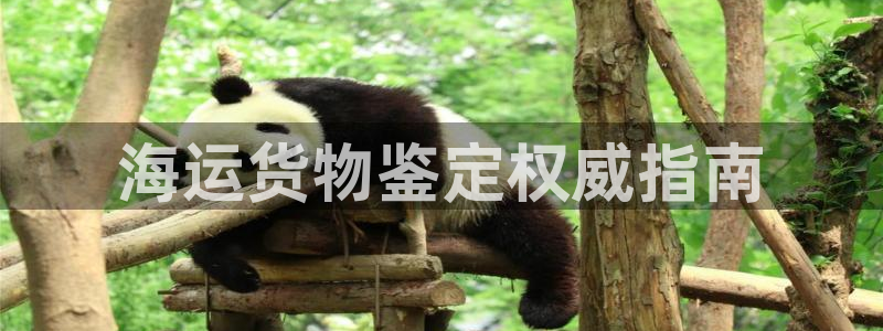 公海赌赌船官网