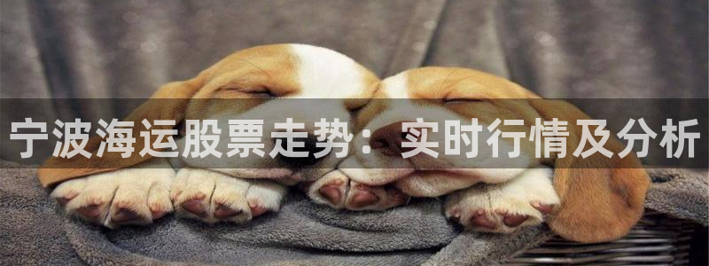 公海 赌船710手机版下载